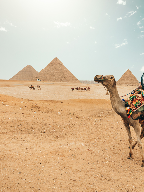 Travel & Tourism